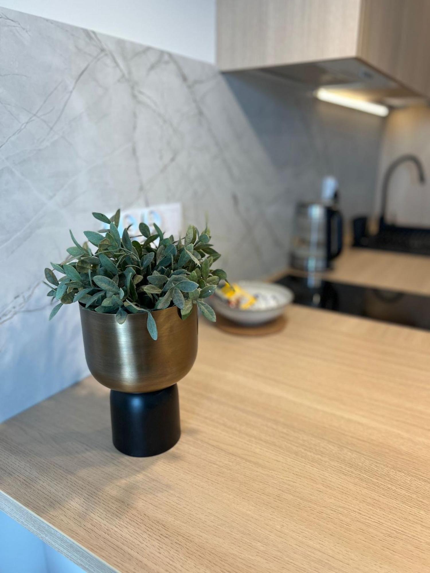 Apartament Boho Łódź